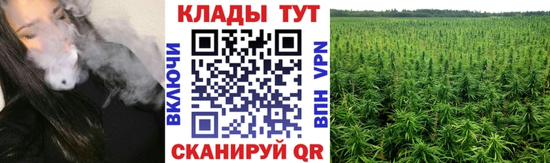 Купить Темников Кокаин APVP Псилоцибиновые грибы ГАШ Бошки Шишки МЕФ АМФ