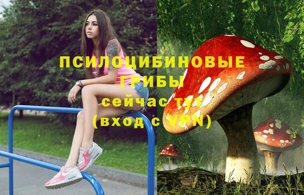 хмурый Абинск