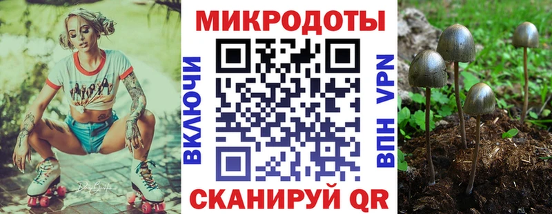 Псилоцибиновые грибы Cubensis  Темников 